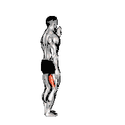 Standing Single Leg Curl demonstration