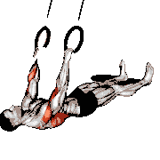 Ring Wide-Grip Inverted Row
