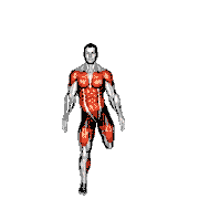 Back Leg Lift Jack demonstration