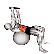 Weighted Overhead Crunch (On Stability Ball)