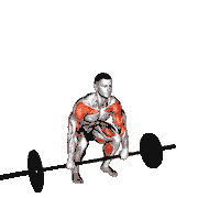 Barbell Clean High Pull demonstration