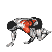 Kneeling T Spine Mobility