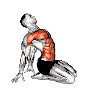 Seated Leaning Back Stretch
