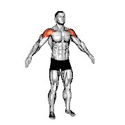 Mid Air Lateral Raises with Switching Palms
