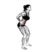 Standing Pelvic Tilt