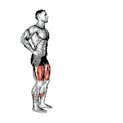 Bodyweight Pulse Forward Lunge