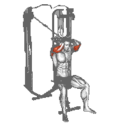 Cable Seated High Pulley Overhead Tricep Extension