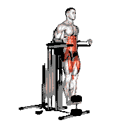Weighted Captain's Chair Leg Raise demonstration