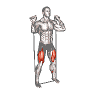 Band Squat demonstration