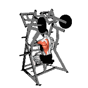 Lever One-Arm Low Row (Plate Loaded)