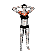 Bodyweight Standing Triangle Fly