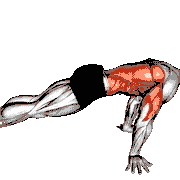 Pseudo Planche Push-Up