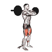 Barbell Front Bench Squat demonstration