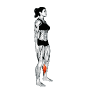 Feet and Ankles Side-to-Side Stretch
