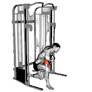 Cable Concentration Extension (on Knee)