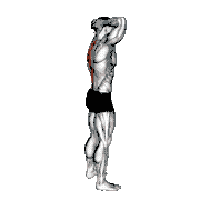 Spine Backbend Stretch demonstration