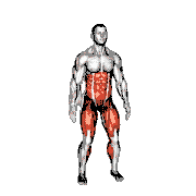 Bodyweight Squat to Side Leg