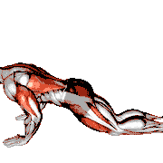 Child Pose Push-Up