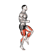 Half Knee Bends