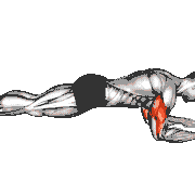Bodyweight Triceps Extension from Plank Position