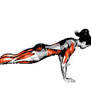Chaturanga Pose