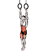 Ring Hanging Knees to Elbows