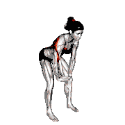 Chest Pull Back
