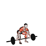 Barbell Split Snatch
