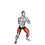 Wide Stance Jump Squat to Narrow Stance Jump Squat demonstration