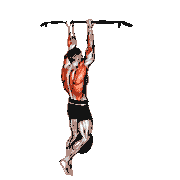 Weighted Chin-Up demonstration