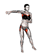 Standing Hip Frontal Rotation with Shoulders Adduction