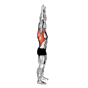 Shoulder Backbend Stretch