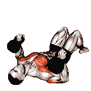 Kettlebell Lying on Floor Chest Press