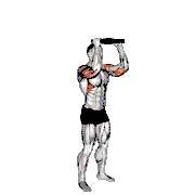 Weighted Plate Standing Overhead Press demonstration