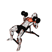 Dumbbell Incline Twist Press