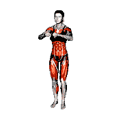 Punches Side Lunge