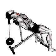 Weighted Lying Neck Flexion (With Head Harness) demonstration