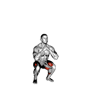 In and Out Squat