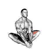Butterfly Yoga Flaps