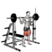 Smith Squat to Bench