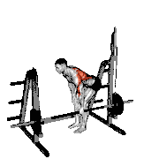 Smith Single Arm Bent-Over Row demonstration