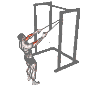 Band Cross Chest Biceps Curl demonstration