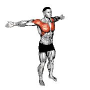 Back Slaps Wrap Around Stretch demonstration
