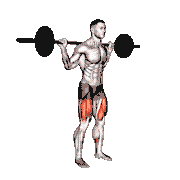 Barbell Quarter Squat demonstration
