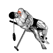 Weighted Lying Side Lifting Head (With Head Harness)