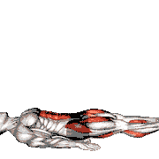 Lying Leg Lift