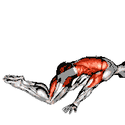 Full Planche