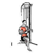 Cable Half Kneeling Pallof Press