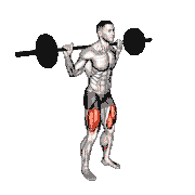 Barbell Squat 2 Sec Hold
