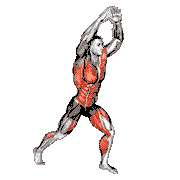 Knee Thrust